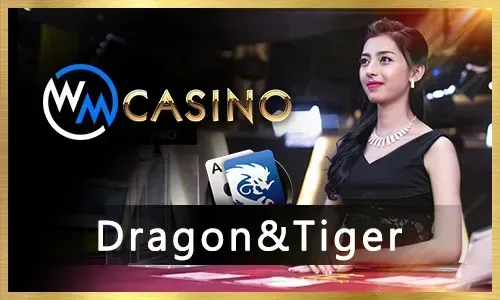 Top Esports Tournaments to Bet on plus777