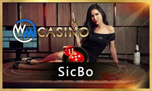 Playing Roulette at plus777 Casino
